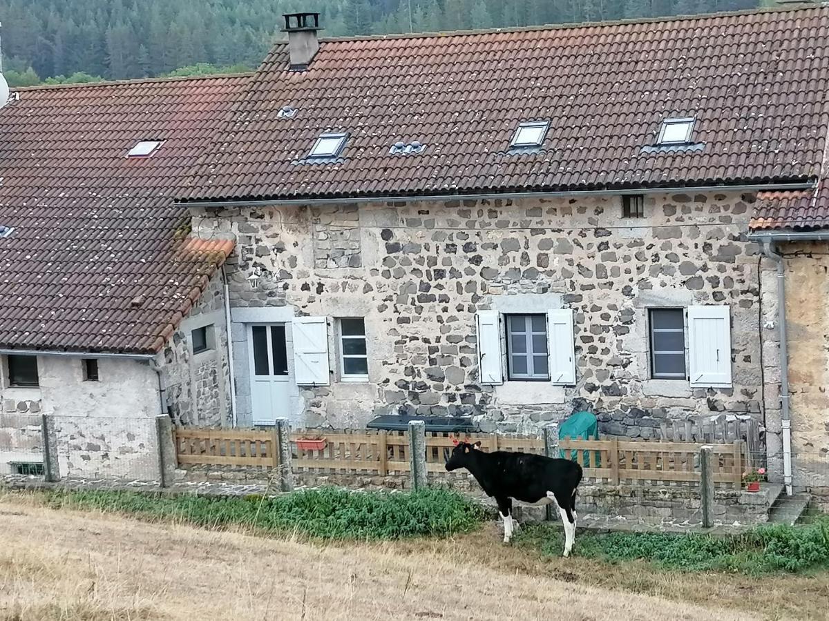 Gite A La Ferme Le Malzieu-Ville Zewnętrze zdjęcie