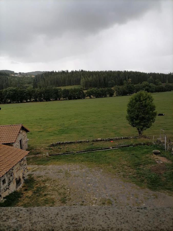 Gite A La Ferme Le Malzieu-Ville Zewnętrze zdjęcie