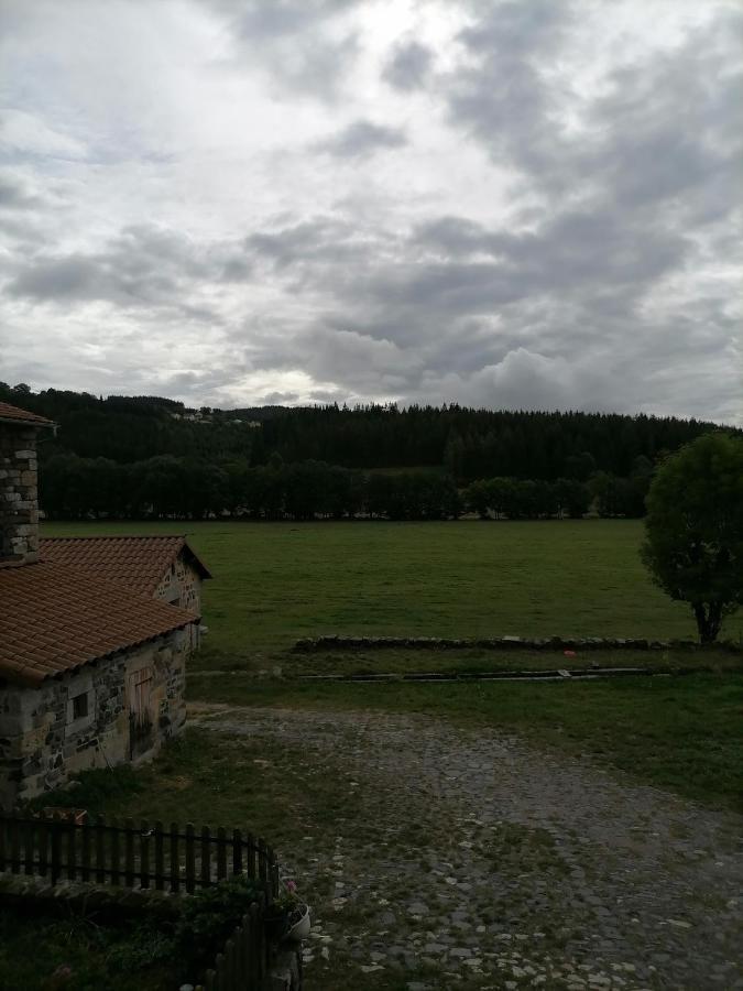 Gite A La Ferme Le Malzieu-Ville Zewnętrze zdjęcie