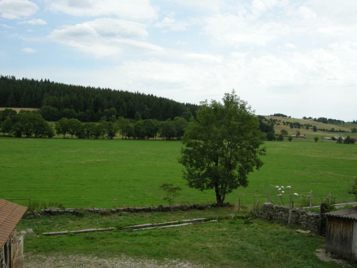 Gite A La Ferme Le Malzieu-Ville Zewnętrze zdjęcie